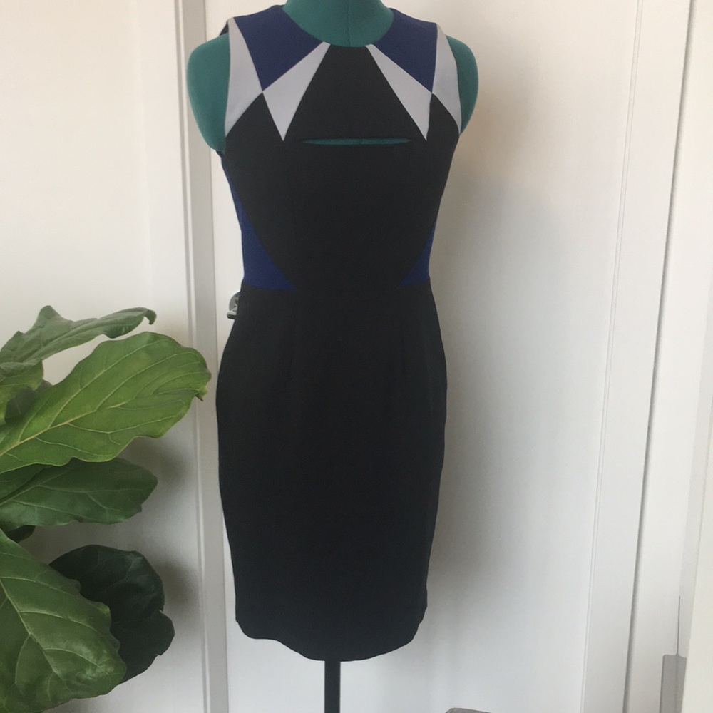 NWOT BCBG sheath dress